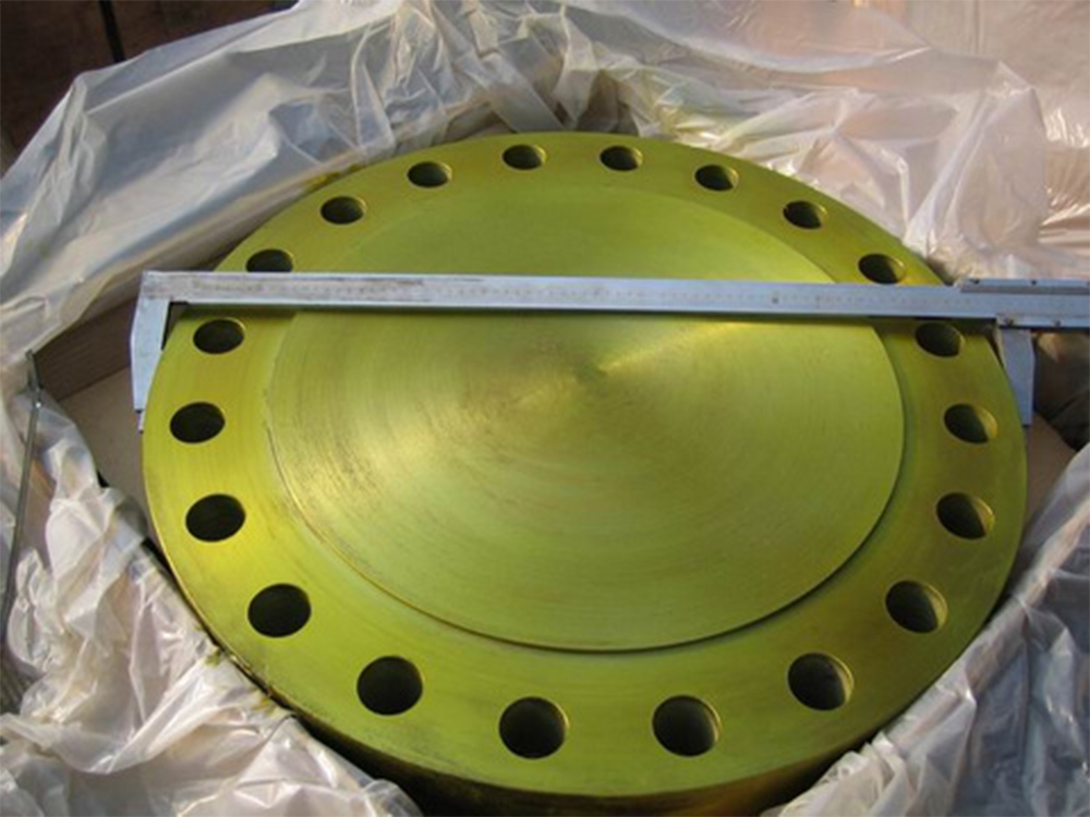 1_0007_blind flange1
