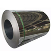 Stainless Coils